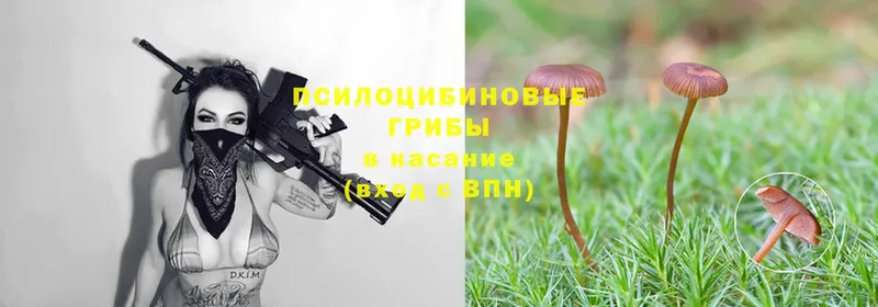 Галлюциногенные грибы Magic Shrooms  MEGA ссылка  Нариманов 